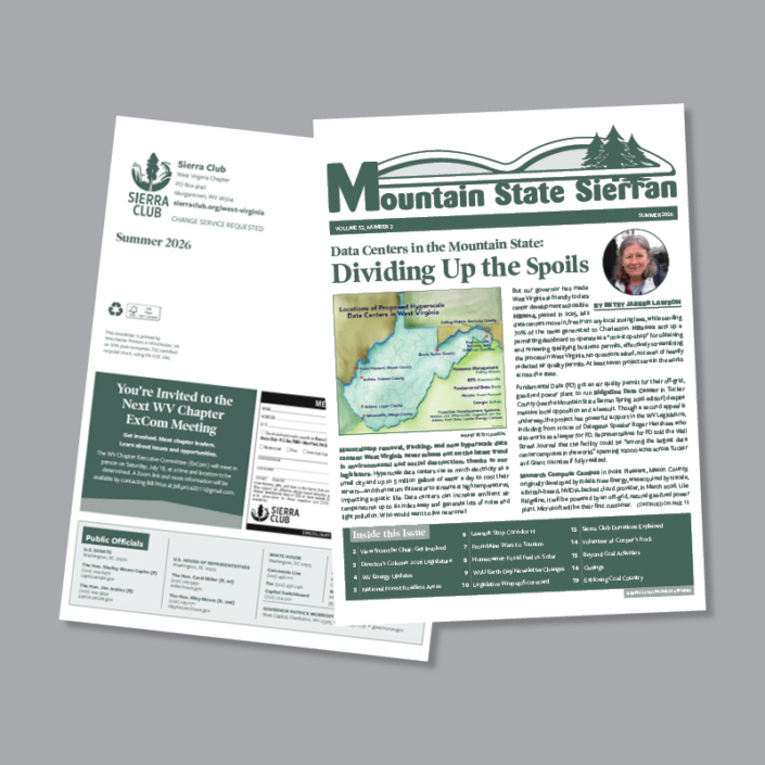 MSS Newsletter